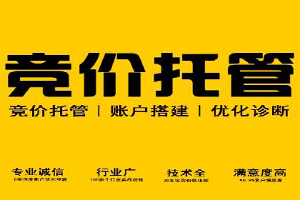 百度推广代运营成功案例解析